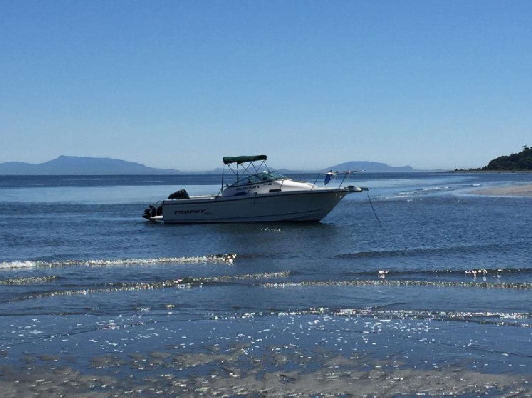 Great Fishing Boat in Point Roberts, WA