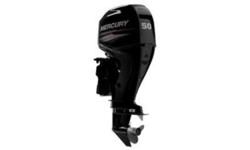 CPO DISCOUNT!
2019 Mercury MarineÂ® FourStroke 50 EFI
Mercury Certified Pre-Owned 50hp, Electric Start, 20" Shaft, Power Trim, Command Thrust
Capt. Kirk's has a large inventory of Mercury MarineÂ® motors and parts. Call for best pricing!
Engine Details