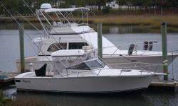 OWN A FISHING LEGEND !
LESS THAN 400 HOURS ON THE ENGINES !
HUGE PRICE REDUCTION - FALL FISHING IS HERE !
SERIOUS OFFERS ARE ENCOURAGED !
In the fishing boat hall of fame, no boat looms larger than the Albemarle. She is sought after by tournament
