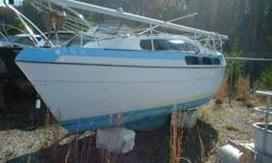 Spacious Live Aboard
Bayliners Buccaneer Shoal Keel Sailboat. She is famous for her massive interior space. Her OMC Sail Drive engine needs repair. Just Reduced 20% Our fifteen acre boat yard has over 100 new trailers deeply discounted, over 250 pre-owned